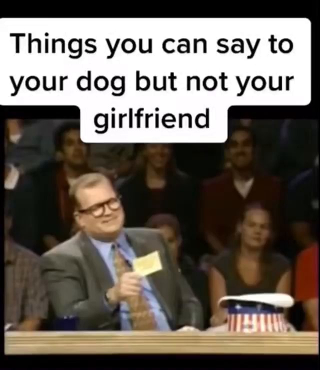 things-you-can-say-to-your-dog-but-not-your-girlfriend-ifunny