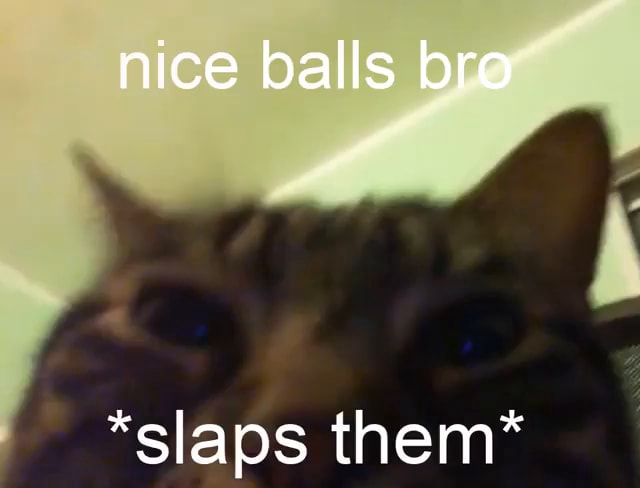 Nice Balls Bro "slaps Them* - IFunny