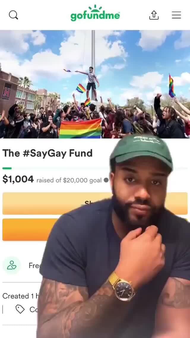 Gofundme The #SayGay Fund $1,004 Created cd raised of $20,000 goal - iFunny