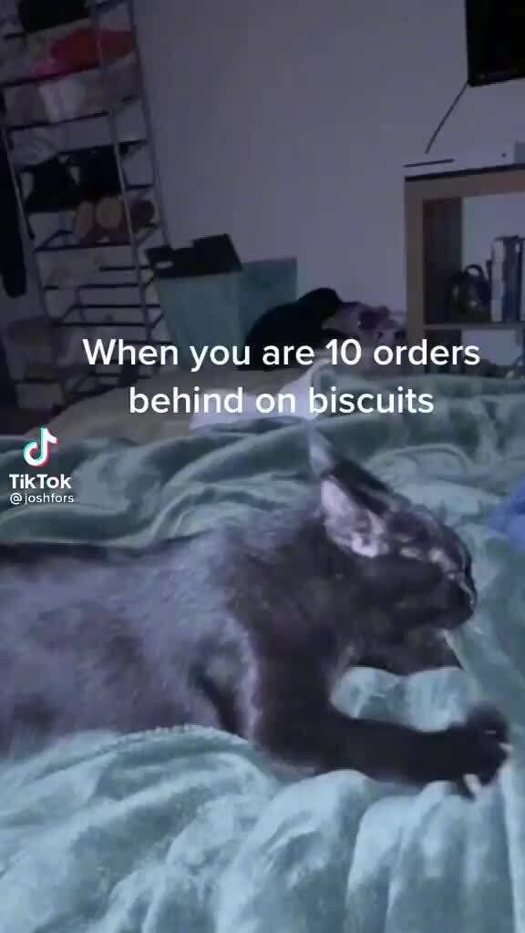 When you are 10 orders behind on biscuits TikTok iFunny