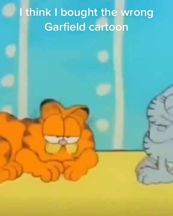 Think I bought the wrong Garfield cartoon iFunny