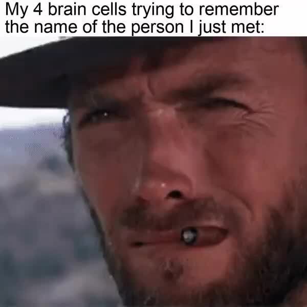 My 4 brain cells trying to remember the name of the person I just met ...