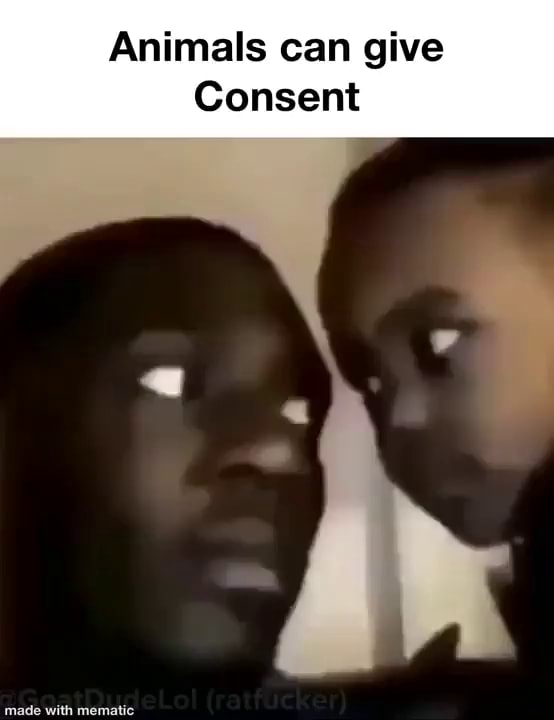 Animals can give Consent iFunny