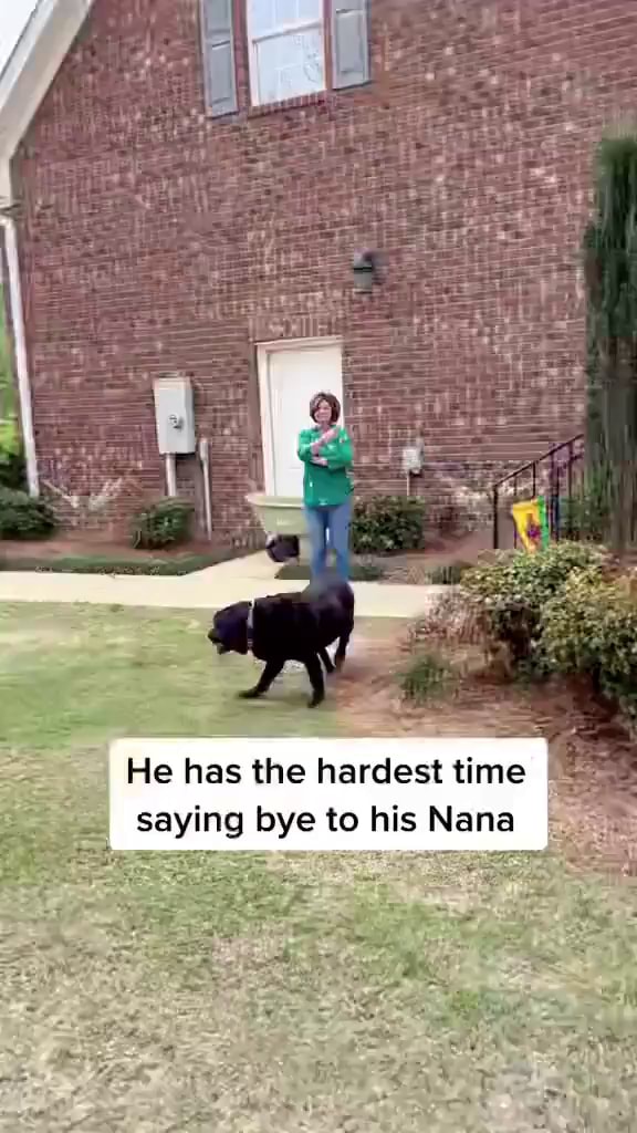 He has the hardest time saying bye to his Nana - iFunny