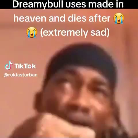 Every Dreamybull Meme: #memes #tiktokmemes #dreamybull #fyp