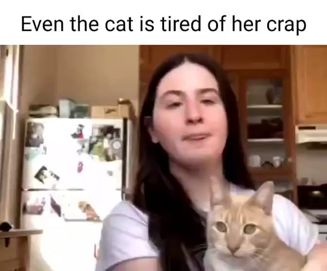 Even the cat is tired of her crap - iFunny