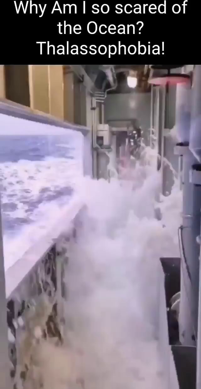 Why Am I so scared of the Ocean? Thalassophobia! iFunny