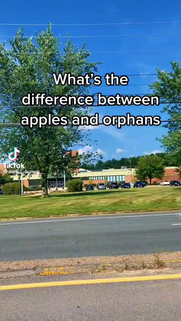 what-s-the-difference-between-apples-and-orphans-ifunny