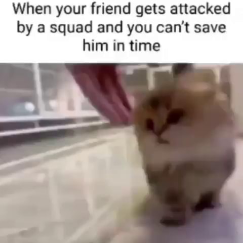 when your friend gets attacked by a squad