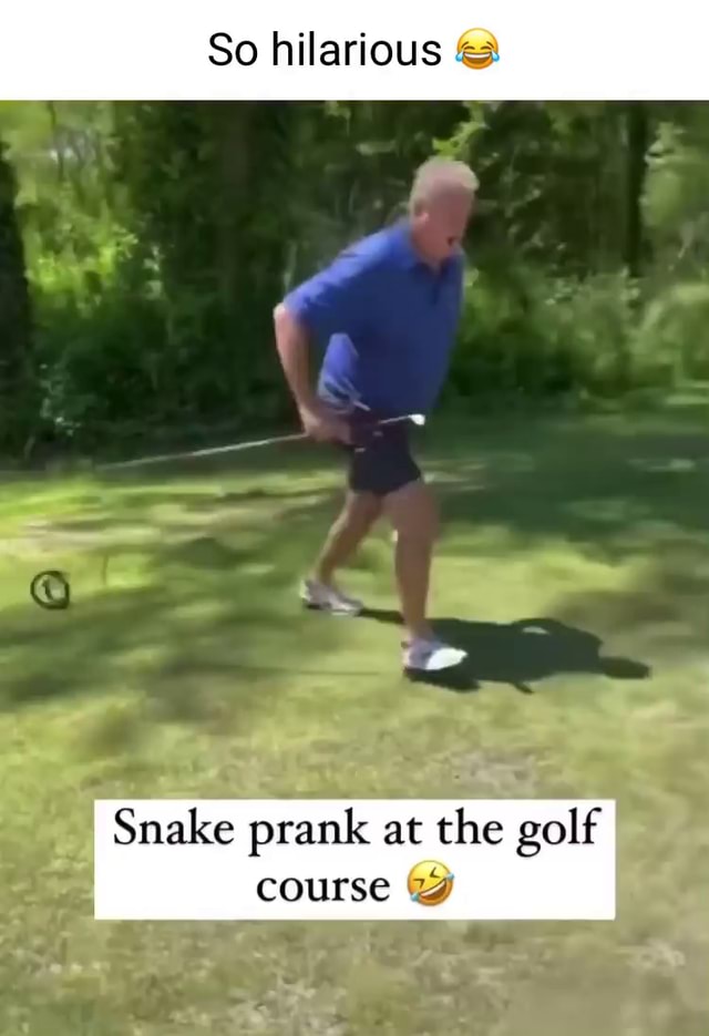 So hilarious & Snake prank at the golf course iFunny