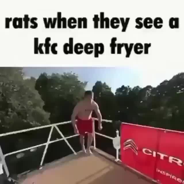 Rats when they see a kfc deep fryer iFunny
