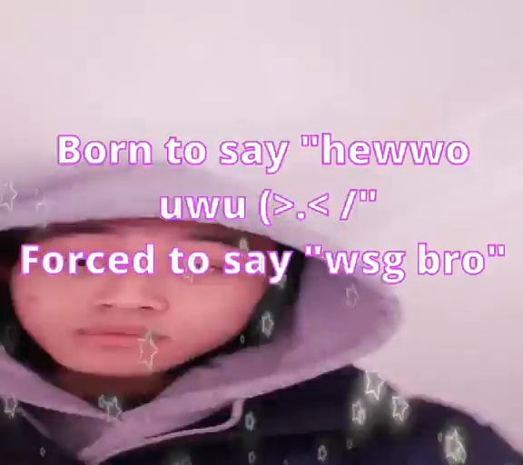 born-to-say-hewwo-uwu-forced-to-say-wag-bro-ifunny