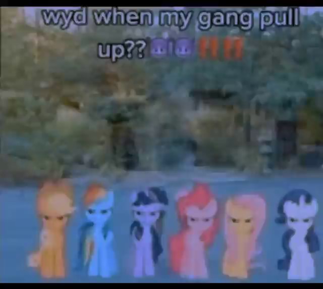When niy gang pull up?? - iFunny