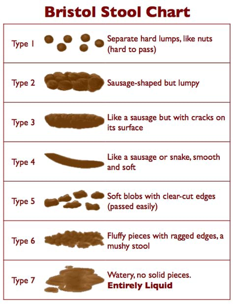 bristol-stool-chart-separate-hard-lumps-like-nuts-type-hard-to