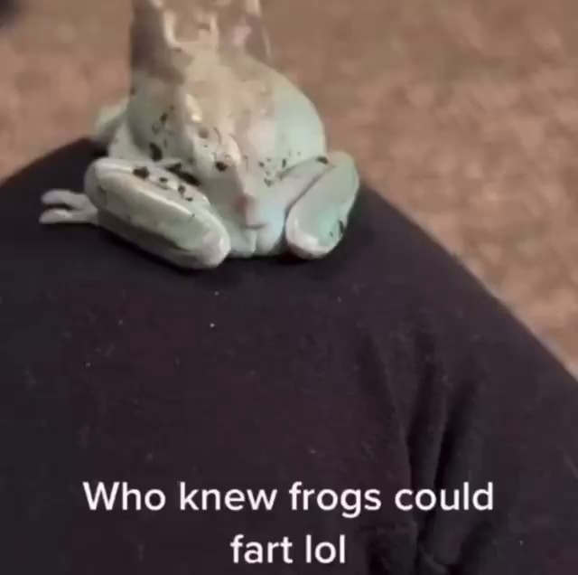 Who knew frogs could fart lol iFunny