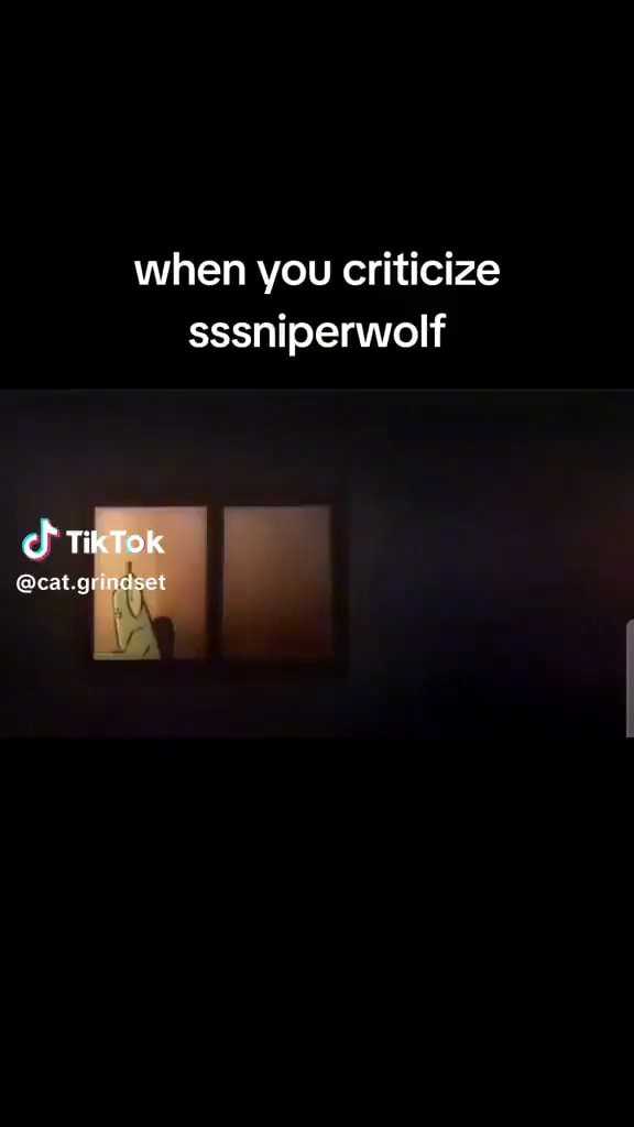 When You Criticize Sssniperwolf Cat Gi Ifunny