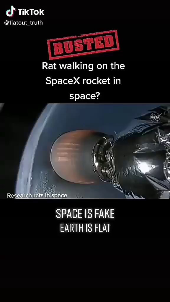 Cf TikTok @flatout_truth Rat walking on the SpaceX rocket in space ...