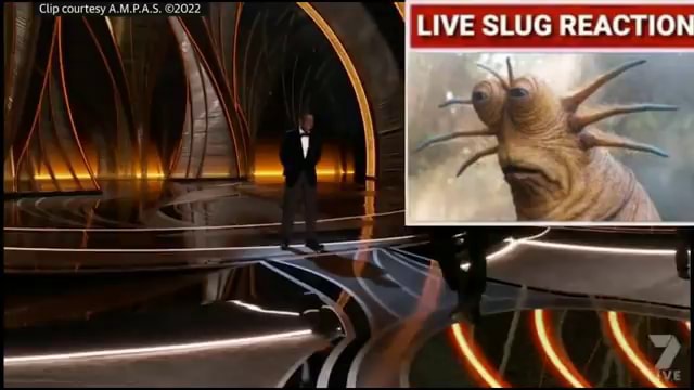 Live Slug Reaction Slug Slug Reaction Ifunny