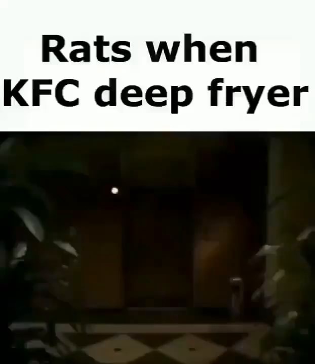 Rats when KFC deep fryer iFunny