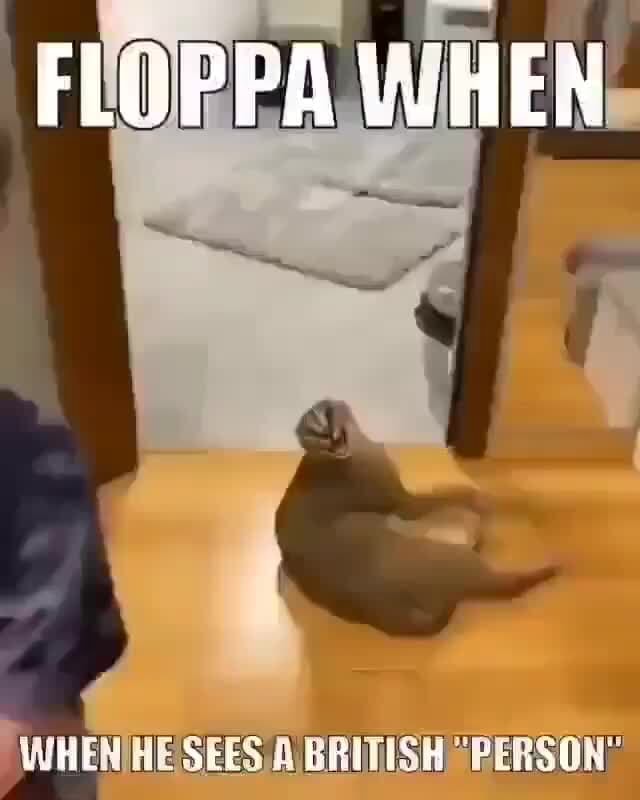 FLOPPA WHEN SEES. A. BRITISH 