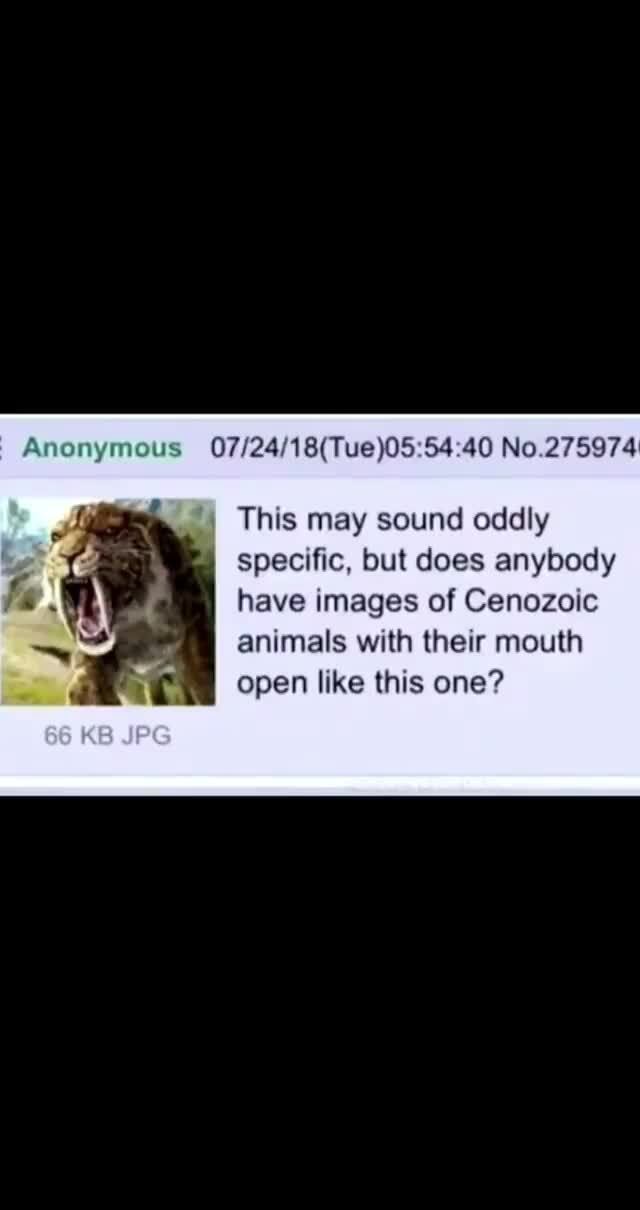 Pityisfun on Instagram Aaaaahhhhhhhhhhh . . . animals sound roar 