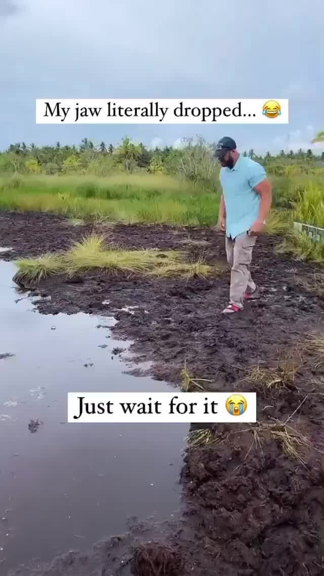 My jaw literally dropped... Just wait for it iFunny