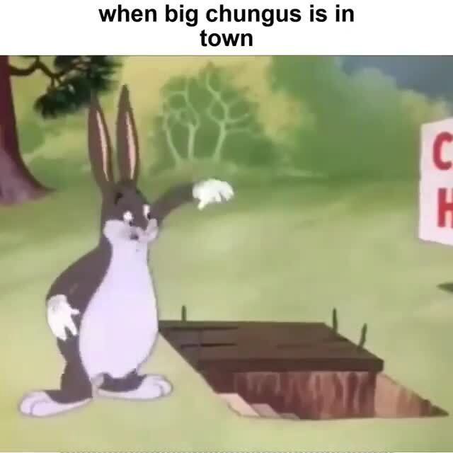 When big chungus is in town - iFunny
