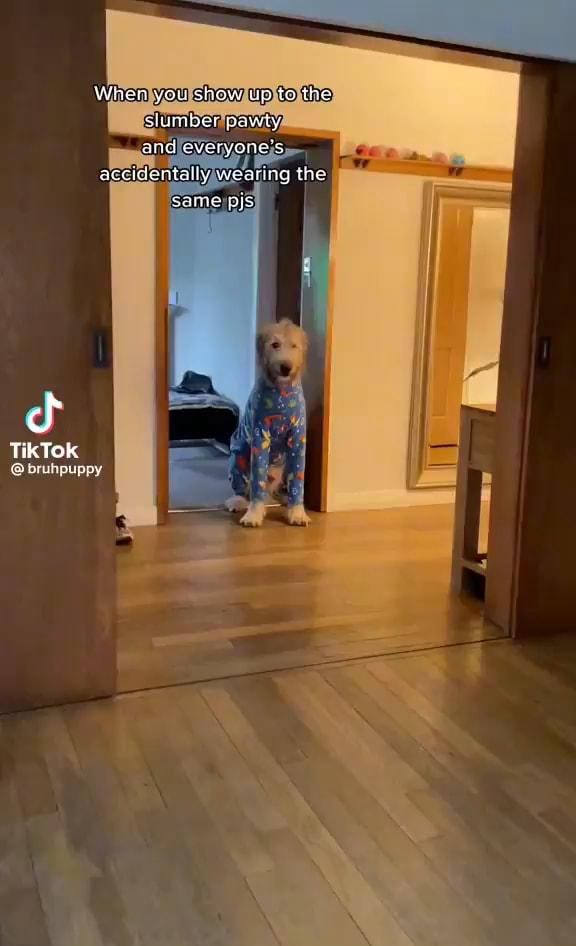 Vihon you show up to the slumher pawty and overyone's acercentally