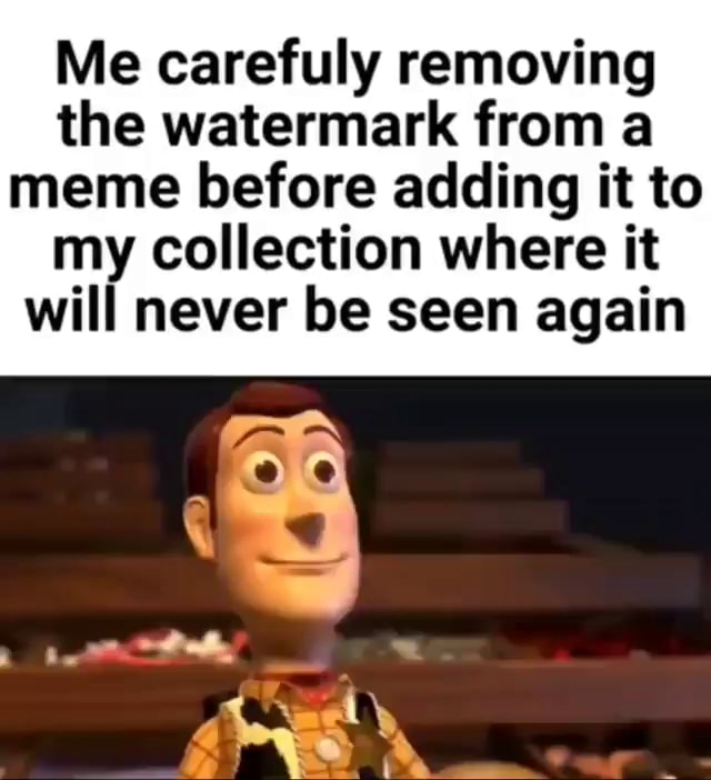 Me carefuly removing the watermark from a meme before adding it to my ...