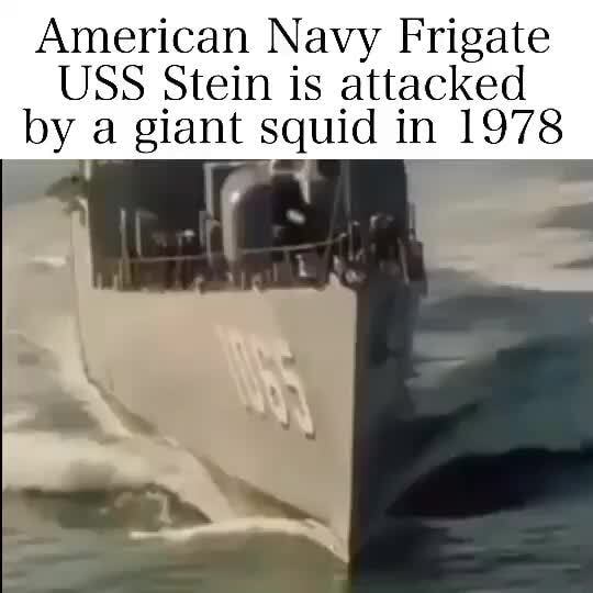 American Navy Frigate USS Stein is attacked by a giant squid in 1978 ...