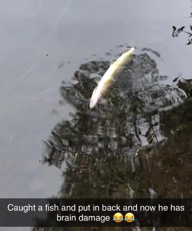 Caught a fish and it broke - Caught a fish and put in back and now he ...