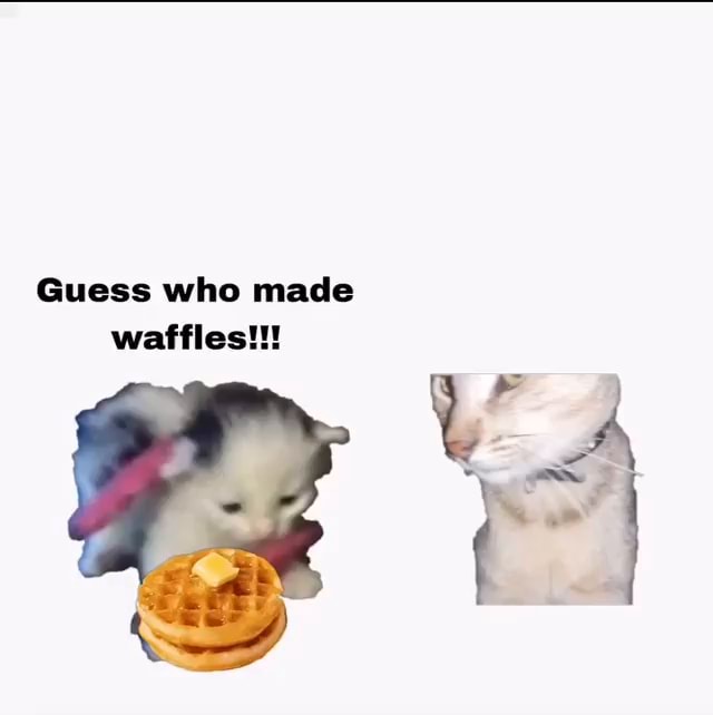 Guess who made waffles!!! iFunny