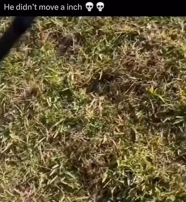 He didn't move a inch @ - iFunny