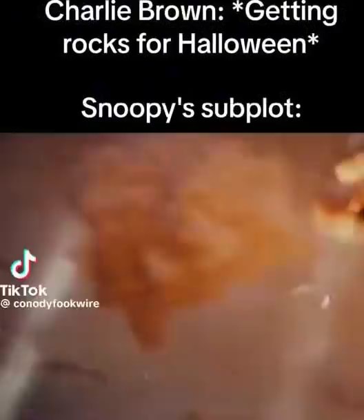Charlie Brown: *Getting rocks for Halloween* Snoopy's subplot: TikTo ...