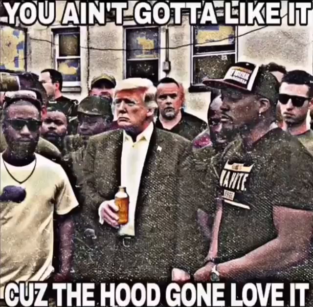 YOU AIN'T LIKE THE HOOD GONE LOVE IT - iFunny