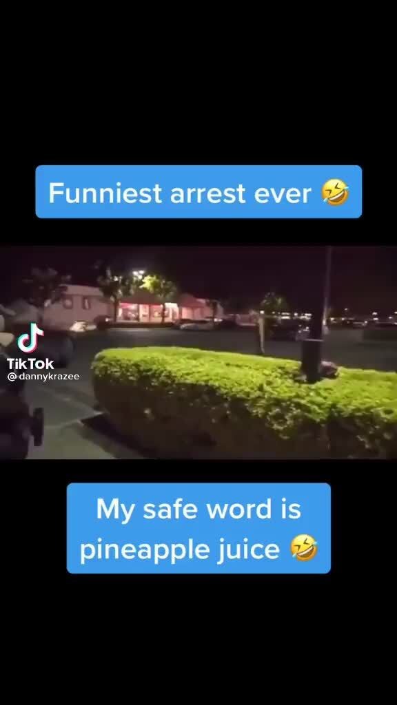 Still the funniest video haha Funniest arrest ever TikTok My safe