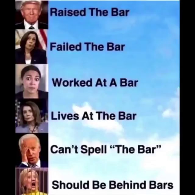 raised-the-bar-failed-the-bar-worked-at-a-bar-lives-at-the-bar-can-t