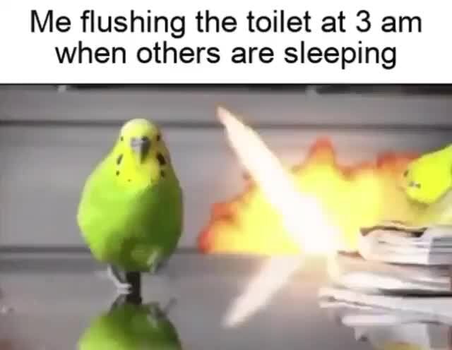 Me flushing the toilet at 3 am when others are sleeping - iFunny