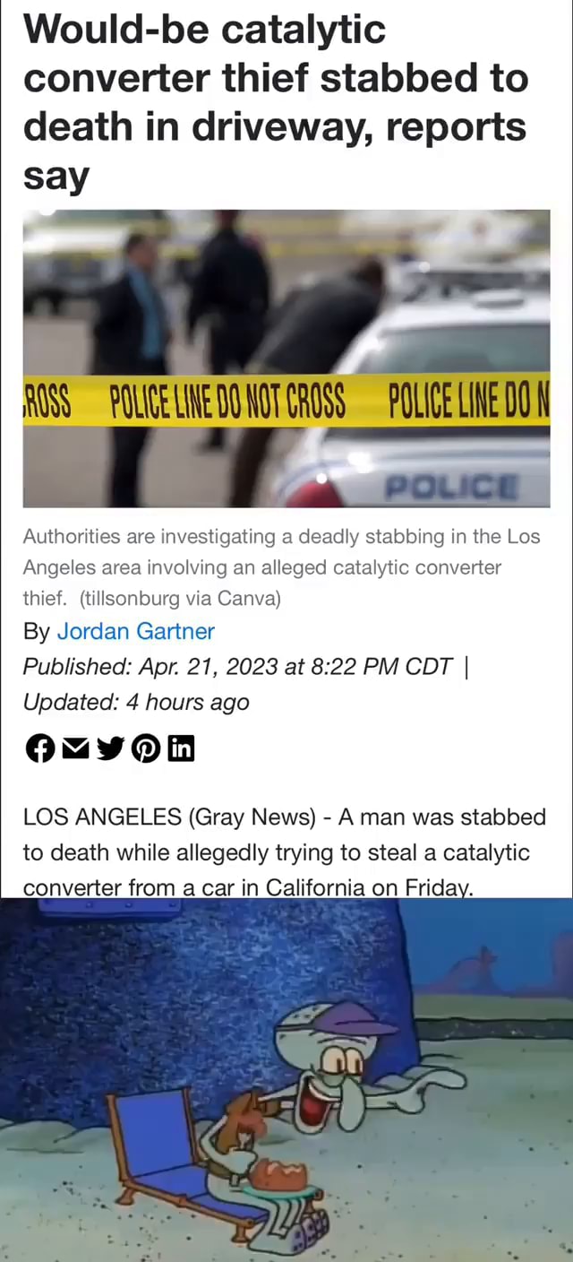 Wouldbe catalytic converter thief stabbed to death in driveway