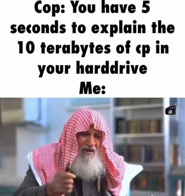 cop-you-have-5-seconds-to-explain-the-10-terabytes-of-cp-in-your