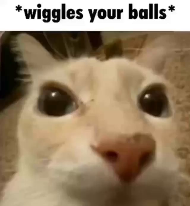 *wiggles your balls* iFunny