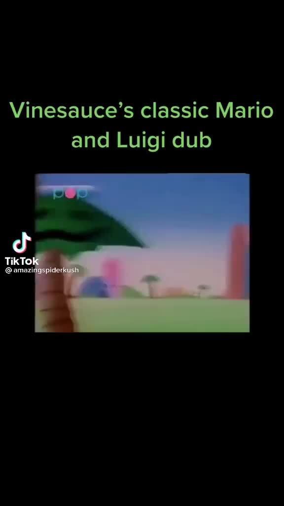 Vinesauce's classic Mario and Luigi dub iFunny