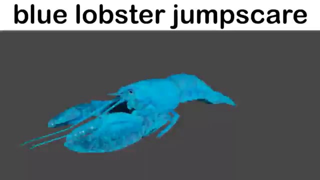 Blue Lobster Jumpscare Ifunny 