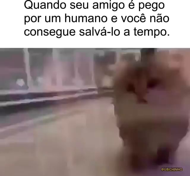 Quando Seu Amigo Pego Por Um Humano E Você Não Consegue Salvá Lo A Tempo Ifunny Brazil 1307