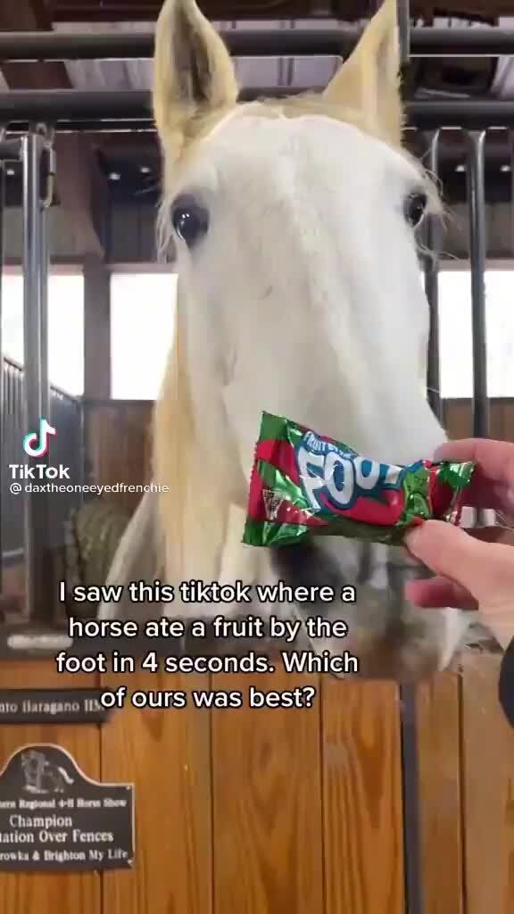 TikTok daxtheoneeyedfrenght saw this tiktok where a horse ate a fruit