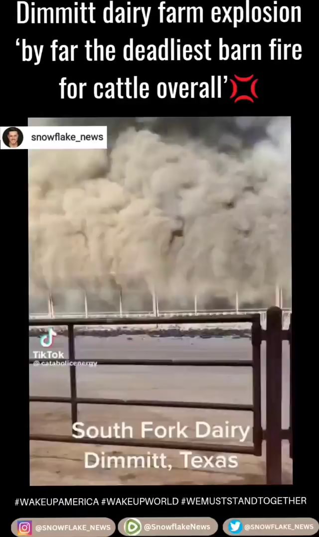 Dimmitt dairy farm explosion 'by far the deadliest barn fire for cattle