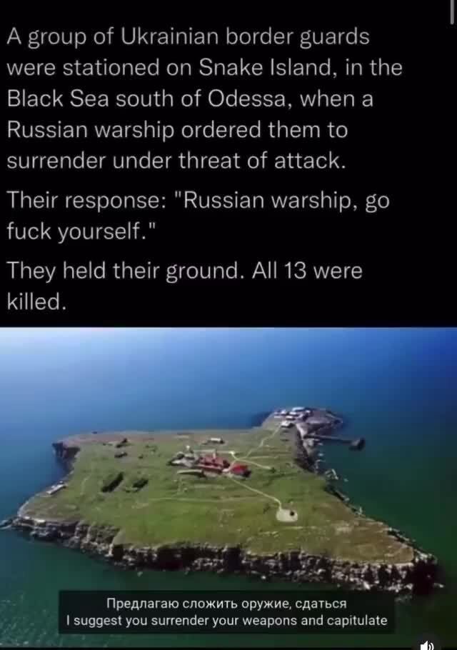 A group of Ukrainian border guards were stationed on Snake Island, in ...