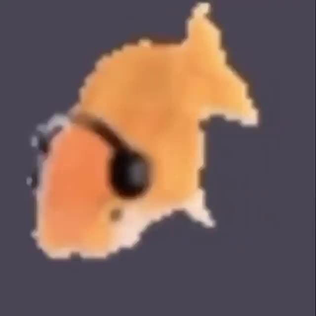 Gucci bucket hat 🐍🗑🎩 iFunny