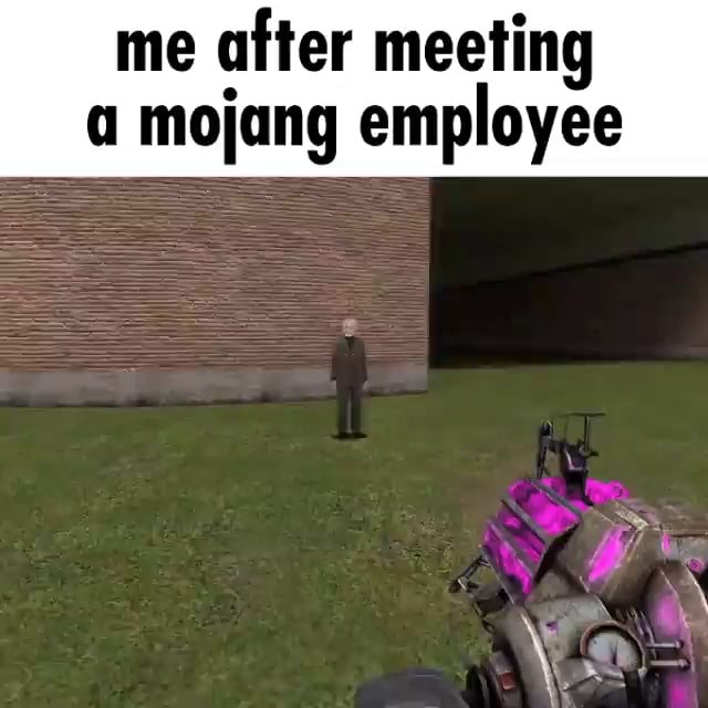 me-after-meeting-mojang-employee-ifunny