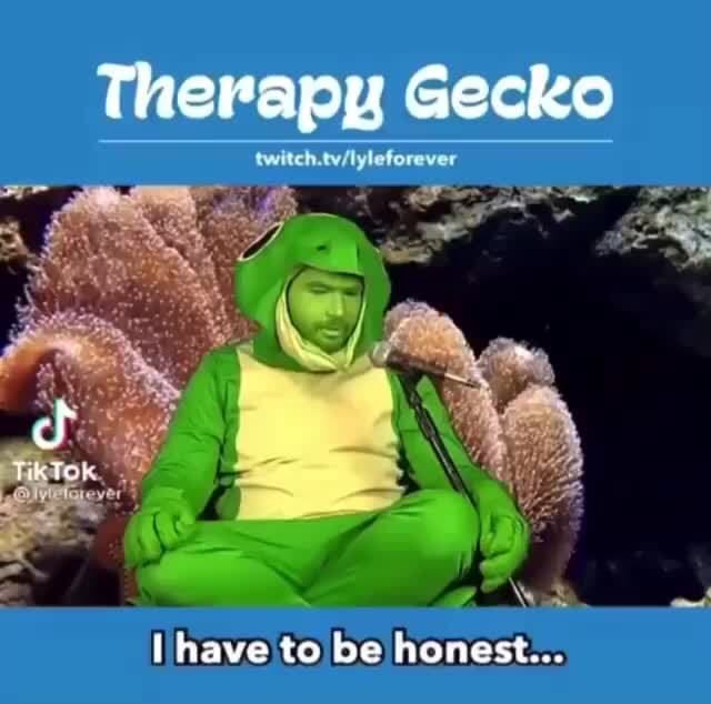 Therapy Gecko [have to be honest... iFunny